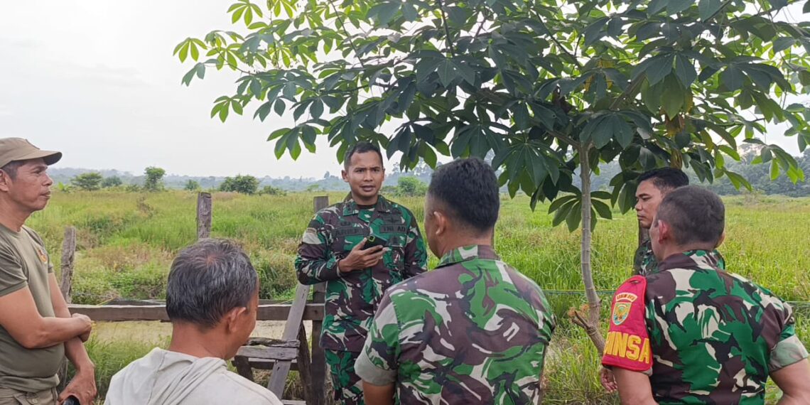 DANDIM 0416/BUTE Tinjau OPLAH di Desa Lubuk Benteng Tebo Program Swasembada Pangan Nasional