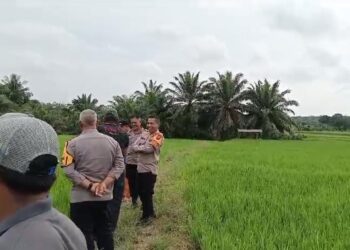 Komitmen Polri Mendukung Program Ketahanan Pangan Nasional. Kapolres Bungo Kolaborasi Dengan Pihak Terkait Di Daerah Juga Semakin Ditingkatkan.