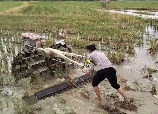 Polda Jambi Setia Mengabdi, Siap Mendukung Swasembada Pangan Untuk Negeri