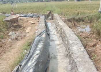 Masyarakat Desa Talang Kering Kecamatan Air Napal Bengkulu Utara Pertanyakan Proyek Siluman Ditengah Sawah