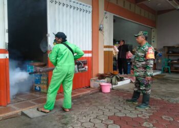 Cegah DBD Di Musim Penghujan, Babinsa Dan Petugas Puskesmas Panggungrejo Dampingi Fogging