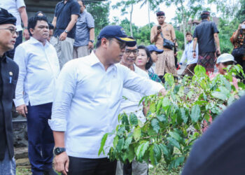 Wamentan Sudaryono Ajak Petani Jaga Kualitas,Kopi Lokal Harus Kuasai Pasar Global