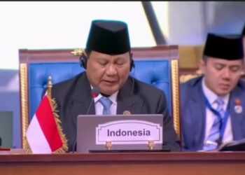 Presiden Prabowo Lanjutkan Langkah Diplomasi ke Kairo, Mesir