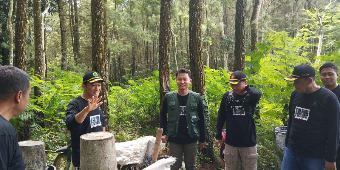 Wakil Kepala Divisi Regional Jatim Kunjungi Lokasi Penghasil Getah di KPH Blitar