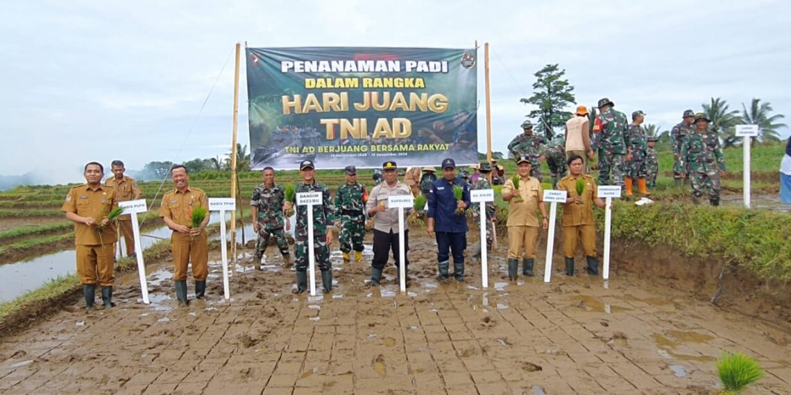 Dalam Rangka Hari Juang TNI AD, DANDIM 0423 Bengkulu Utara Menanam Padi Bersama Masyarakat Kelurahan Kemumu