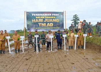 Dalam Rangka Hari Juang TNI AD, DANDIM 0423 Bengkulu Utara Menanam Padi Bersama Masyarakat Kelurahan Kemumu