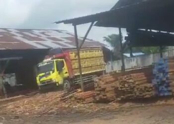 Ketua AMOK Minta Para Cukong Pembalakan Hutan Khususnya Kayu Ulin Bawah Jembatan Ambawang Di Tindak Tegas APH