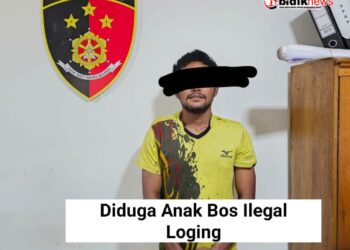 Polsek Sandai Polres Ketapang berhasil amankan truck canter bermuatan kayu ulin yang diduga ilegal