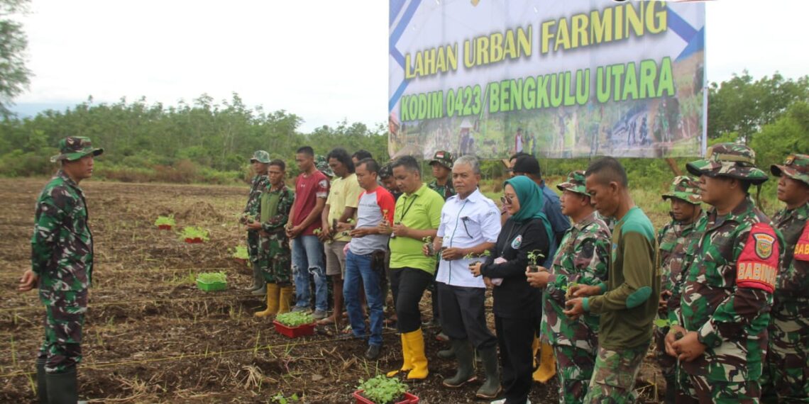 Dandim 0423/BU Siapkan Lahan Urban Farming Dukung Program Makan Bergizi Gratis