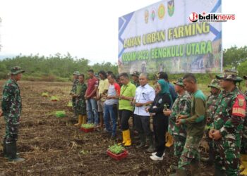 Dandim 0423/BU Siapkan Lahan Urban Farming Dukung Program Makan Bergizi Gratis