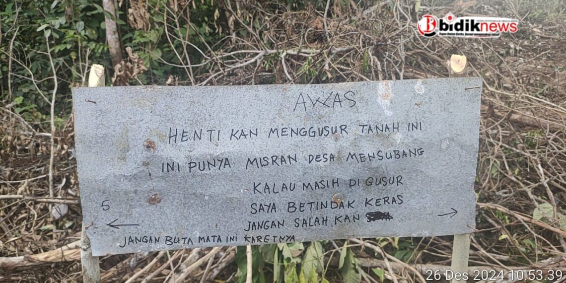 Kebun Karet Dirusak Warga Desa Mensubang Tuntut Keadilan dari PT. SMS Mukti