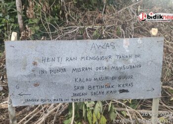 Kebun Karet Dirusak Warga Desa Mensubang Tuntut Keadilan dari PT. SMS Mukti