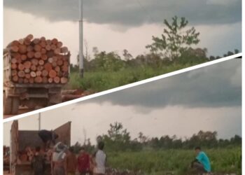 Gunung Tamang Dirusak Alat Berat, Oknum Pelaku Ilegal Logging di Sungai Raya Dan  Ambawang Kian Menggila APH Diam