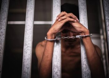 PRESIDEN PRABOWO Ingin Napi Kasus Narkoba Diberdayakan Untuk Swasembada Pangan Dan Komando Cadangan