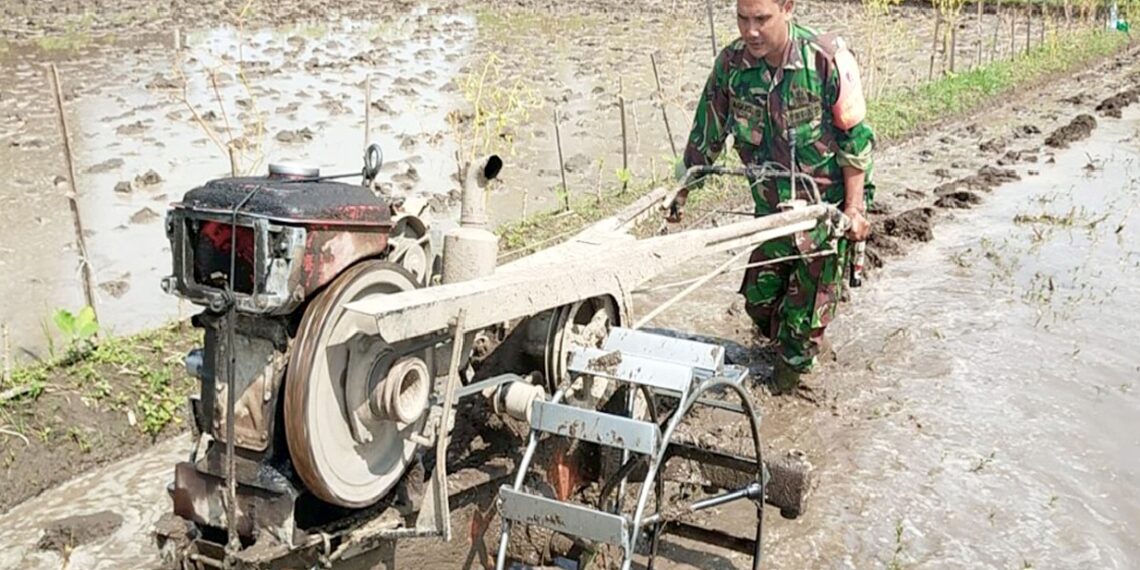 Dukung Program Ketahanan Pangan, Babinsa Bendogerit Siapkan Lahan Petani
