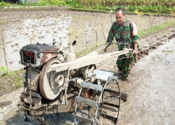 Dukung Program Ketahanan Pangan, Babinsa Bendogerit Siapkan Lahan Petani
