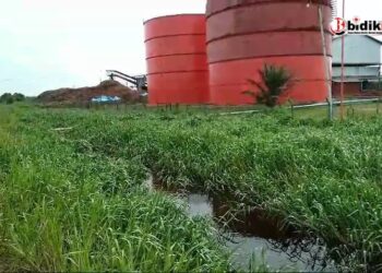 Akibat Limbah B3 Pencemaran Sungai Kapuas Pabrik Sawit BPG Diminta Tanggung jawab
