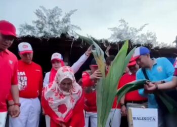 Dedy Wahyudi, S.E, M.M Wali Kota Bengkulu Tanam 10.000 Pohon Kelapa di objek wisata Pantai panjang Bengkulu