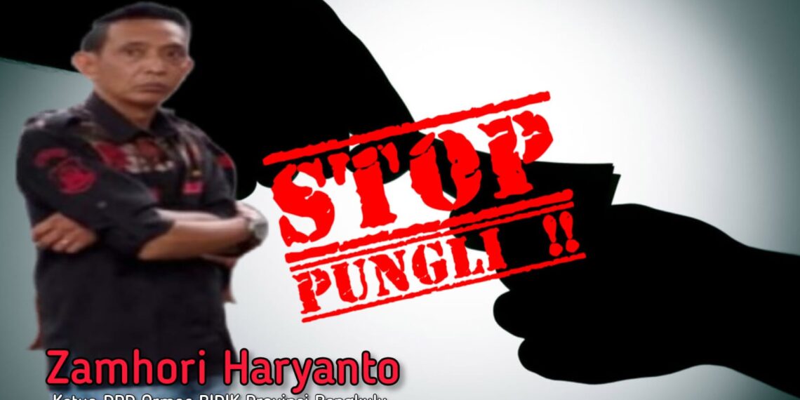 Dugaan Spj Fiktif, Ormas Bidik Minta APH Periksa Anggaran Kecamatan Air Padang