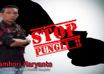 Dugaan Spj Fiktif, Ormas Bidik Minta APH Periksa Anggaran Kecamatan Air Padang