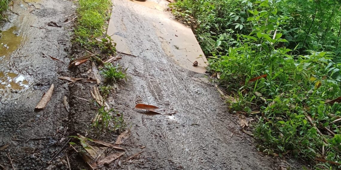 Warga Keluhkan Jalan Kabupaten Desa Buanajaya Rusak Parah