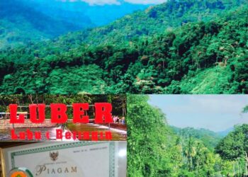 HUTAN DESA PERTAMA DI INDONESIA: Kisah Inspiratif Lubuk Beringin Menjaga Hutan, Menyelamatkan Kehidupan