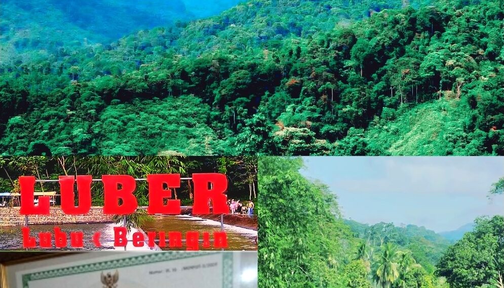 HUTAN DESA PERTAMA DI INDONESIA: Kisah Inspiratif Lubuk Beringin Menjaga Hutan, Menyelamatkan Kehidupan