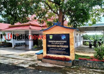BPK RI ‘Sentil’ 10 SKPD Kabupaten Bungo: Ratusan Juta Anggaran Perjalanan Dinas Diduga Bermasalah! KOMINFO Diminta Buka Suara