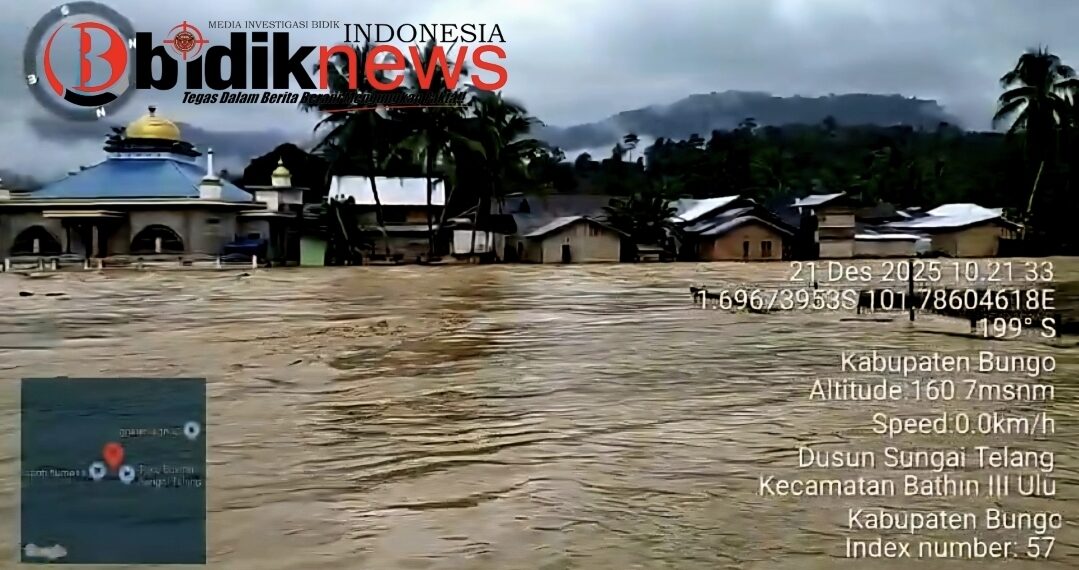 SKANDAL BESAR: Hutan Desa Pertama Indonesia Dijarah 300 Ekskavator, Diduga Melibatkan Oknum APH, Pejabat Pemda, hingga Anggota Dewan!