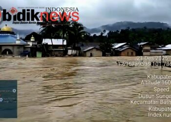 SKANDAL BESAR: Hutan Desa Pertama Indonesia Dijarah 300 Ekskavator, Diduga Melibatkan Oknum APH, Pejabat Pemda, hingga Anggota Dewan!