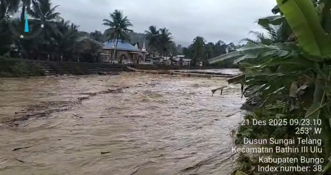 DARURAT! 300 Excavator Jarah Hutan Lindung Sungai Telang: Benarkah Oknum Pejabat Desa Terlibat?