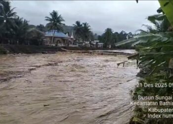 DARURAT! 300 Excavator Jarah Hutan Lindung Sungai Telang: Benarkah Oknum Pejabat Desa Terlibat?
