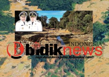 Menanti Nyali Bupati Bungo: Janji “Zero PETI” Hanya Bualan, Alam Bungo Diambang Kiamat Ekologi!