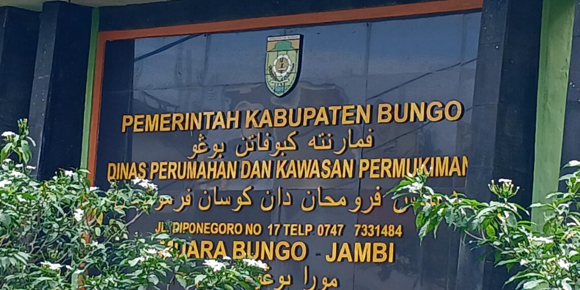 Membuka Tabir Histori Revitalisasi Bungo: Dinas Perkim Ungkap Perjuangan Panjang Anggaran Taman Pusparagam
