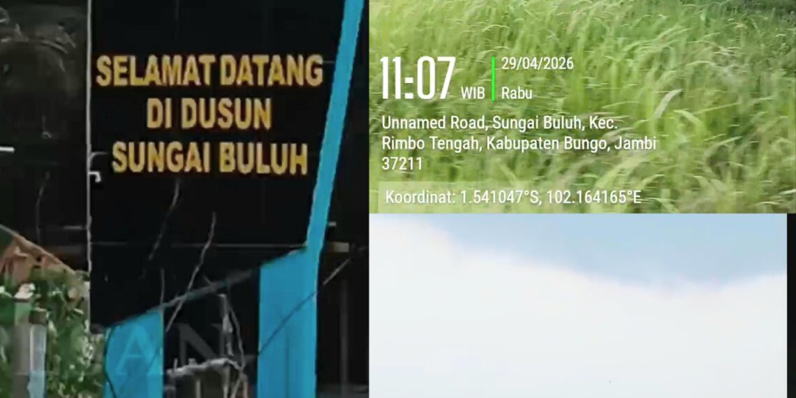 Terpantau Titik Koordinat ” 1.544005°S, 102.164880°E ” Bandara Muara Bungo Dikepung Tambang Emas Ilegal: Hukum Bungo Lumpuh atau ‘Dibiayai’?